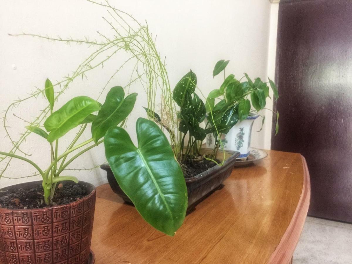 Little Cozy Homestay 코타바하루 외부 사진